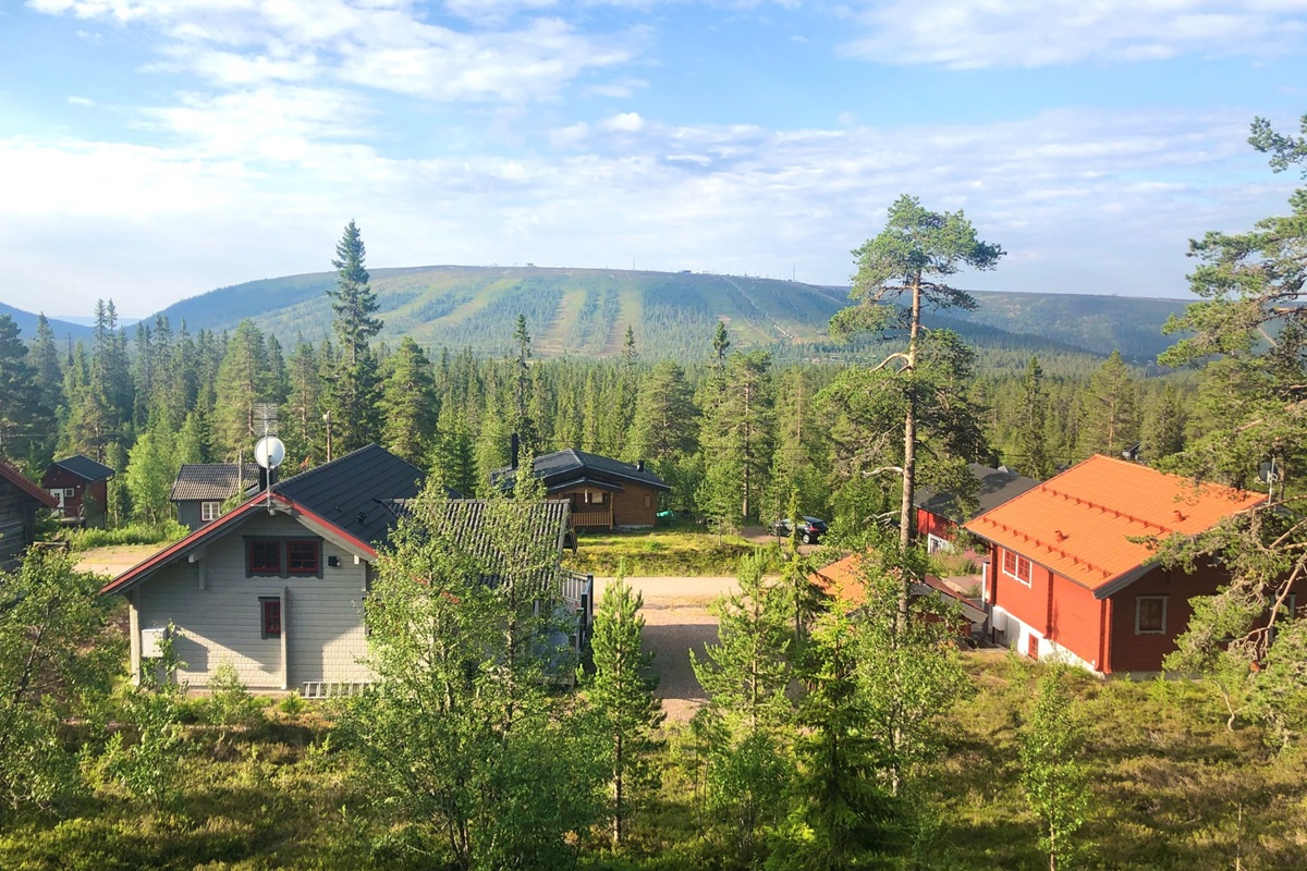 salensommar.jpg
